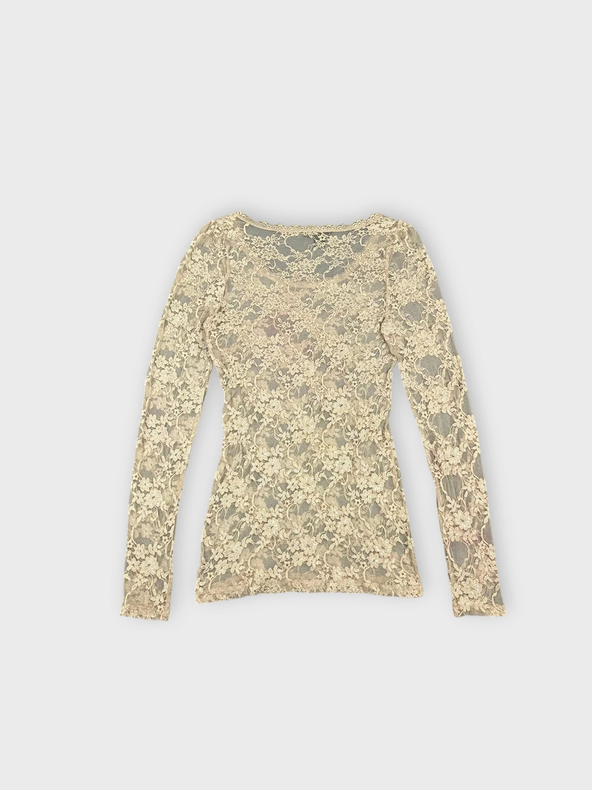 Back view of a beige lace long sleeve top with sheer detail.