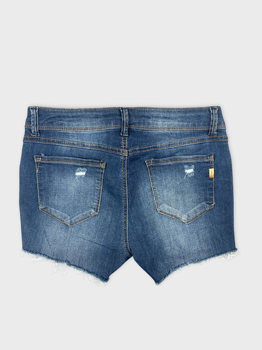 Back view of blue denim shorts with frayed hem and two rear pockets.