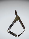 Statement Studded Dark Brown Belt (ONESIZE)