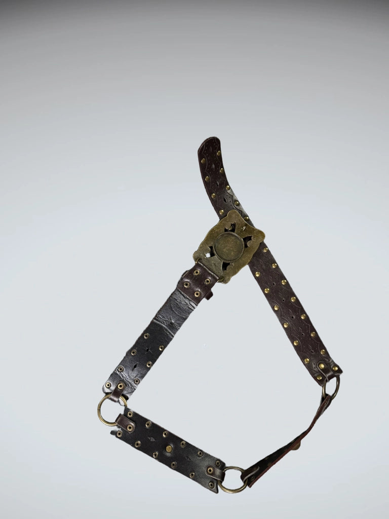 Statement Studded Dark Brown Belt (ONESIZE)