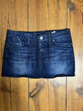 Blue Skirt