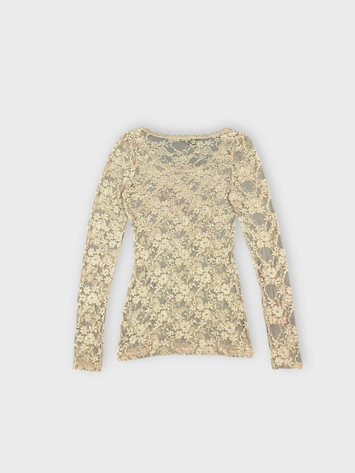 Back view of a beige lace long sleeve top with sheer detail.