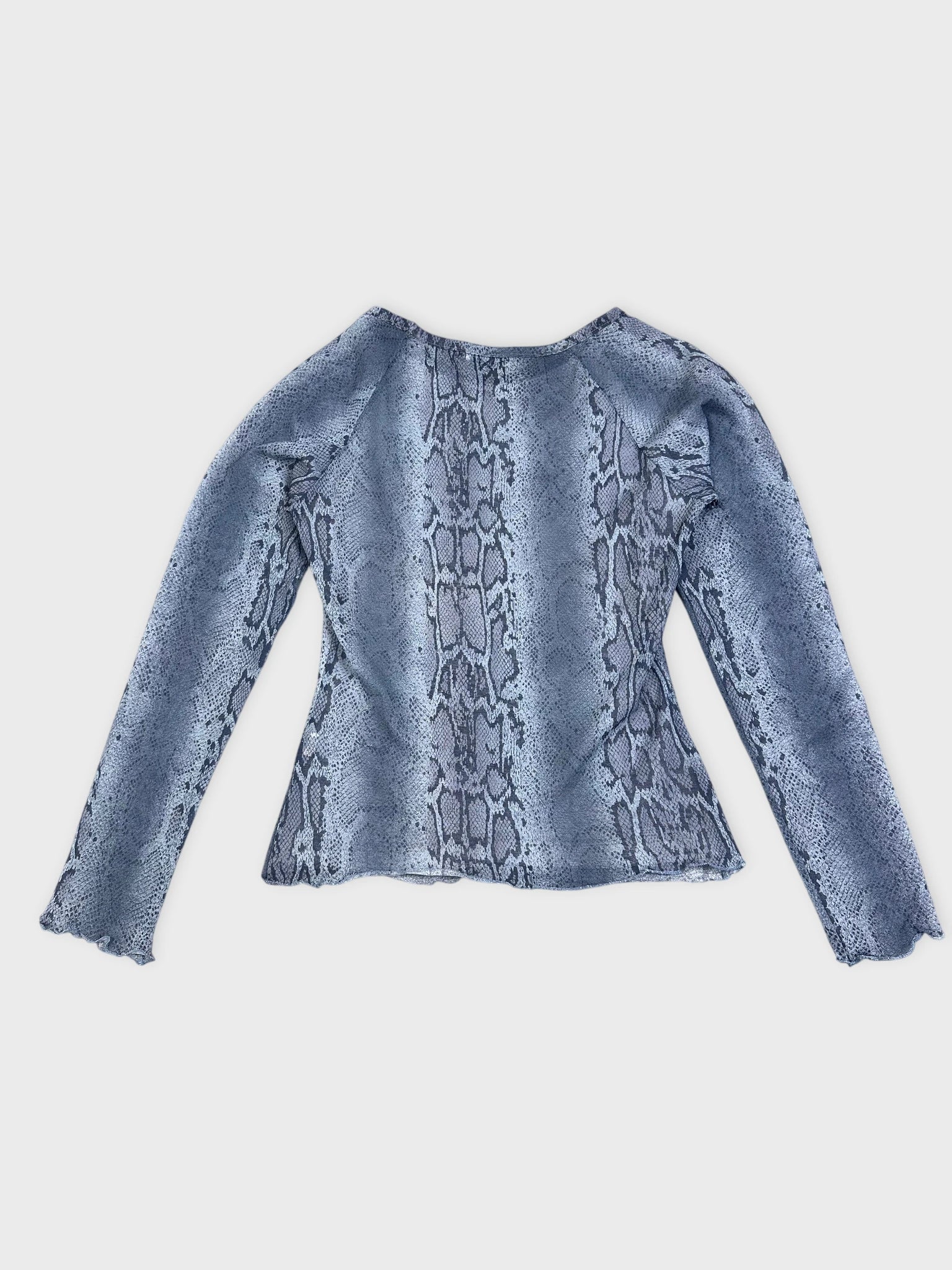 Back view of long-sleeve top in blue snake print pattern.